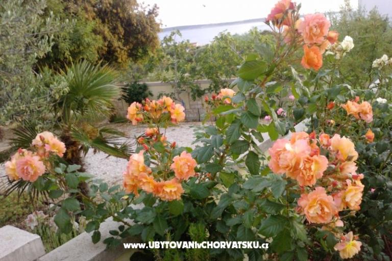 Marea Appartamenti Mandre – foto 8