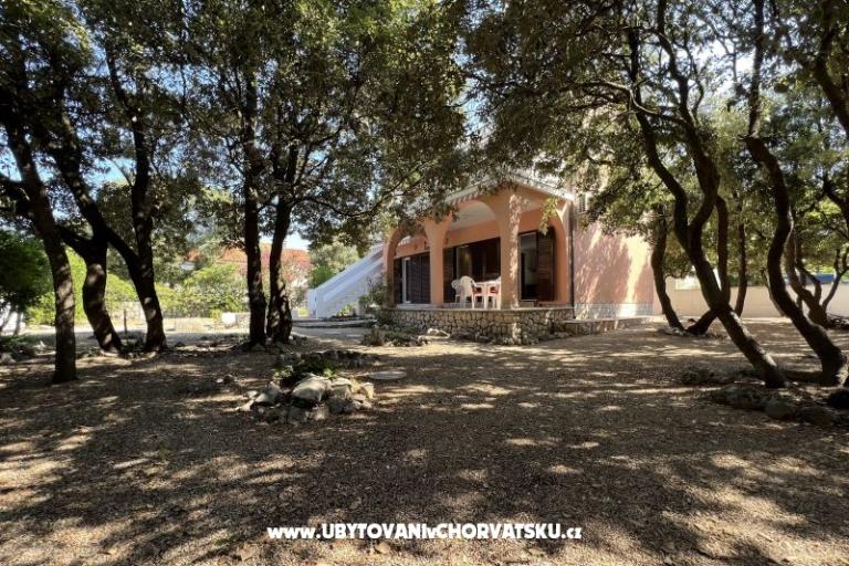 Simuni Holiday home – foto 3