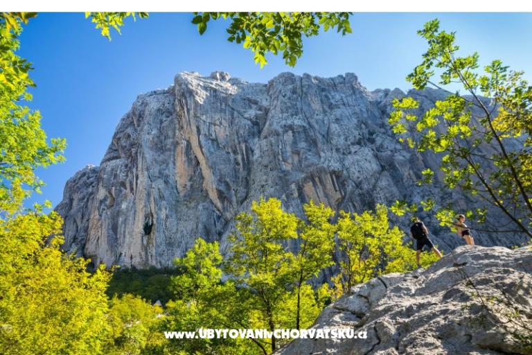 Appartamento Agava Seline – foto 9
