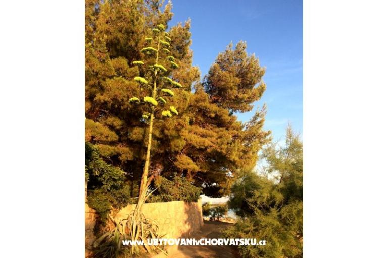 Appartamenti Cvekan – foto 16
