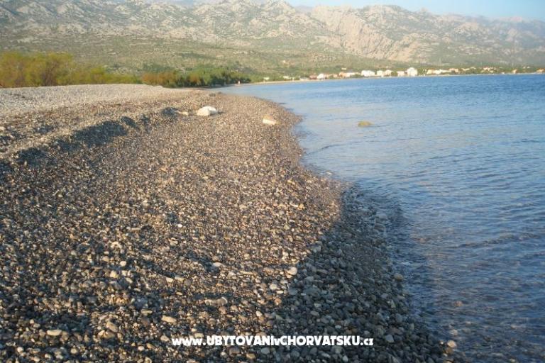 Appartamenti & Camere Danica – foto 4