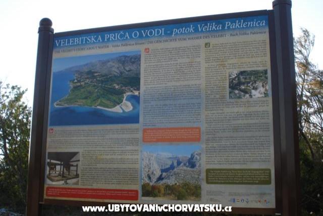 Appartamento – foto 8