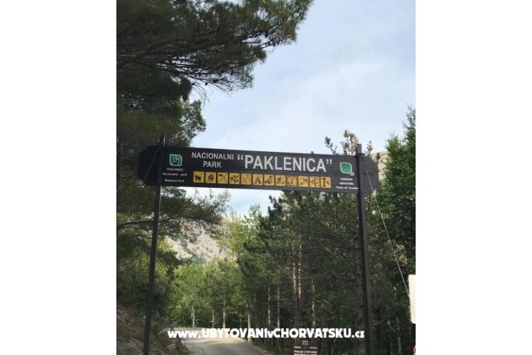 Appartamenti Merion – foto 8