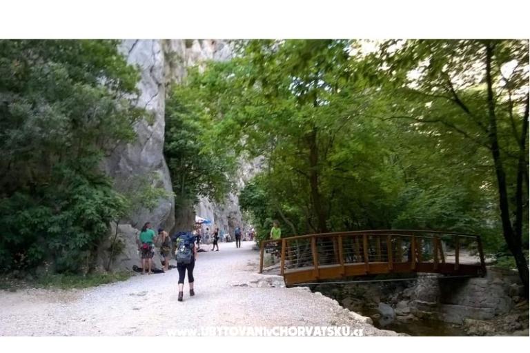 Appartamenti Merion – foto 9