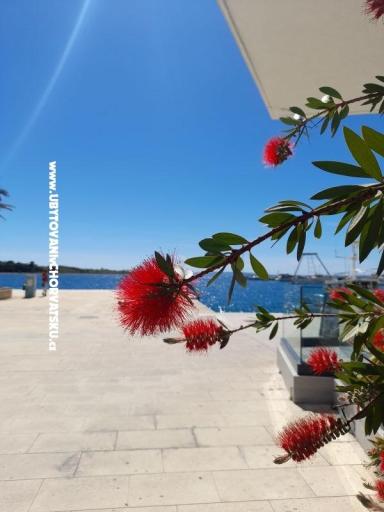 Appartamenti Tomic – foto 10