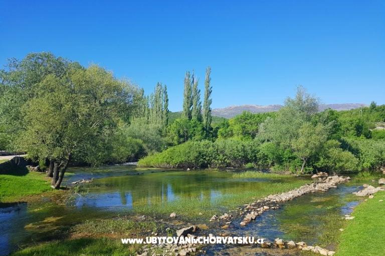 Appartamenti Tomic – foto 3