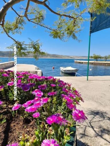 Appartamenti Tomic – foto 8