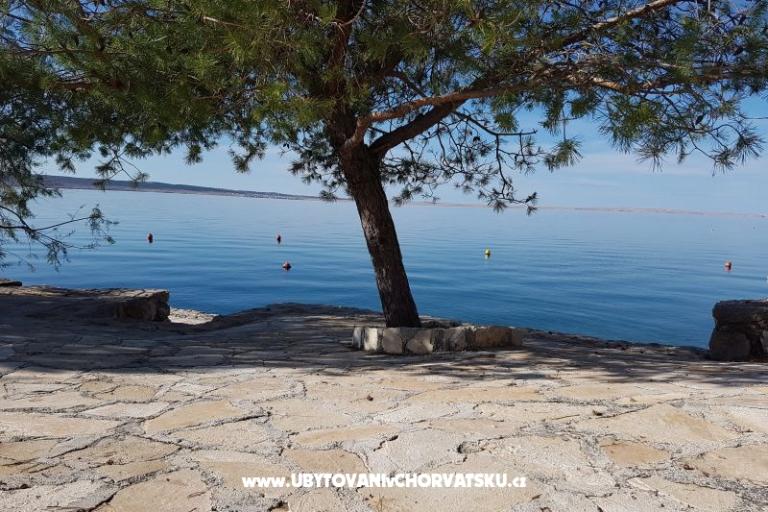 Appartamenti Bosi i Goli – foto 15