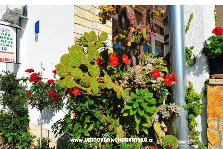 Appartamenti Bernardica – foto 10