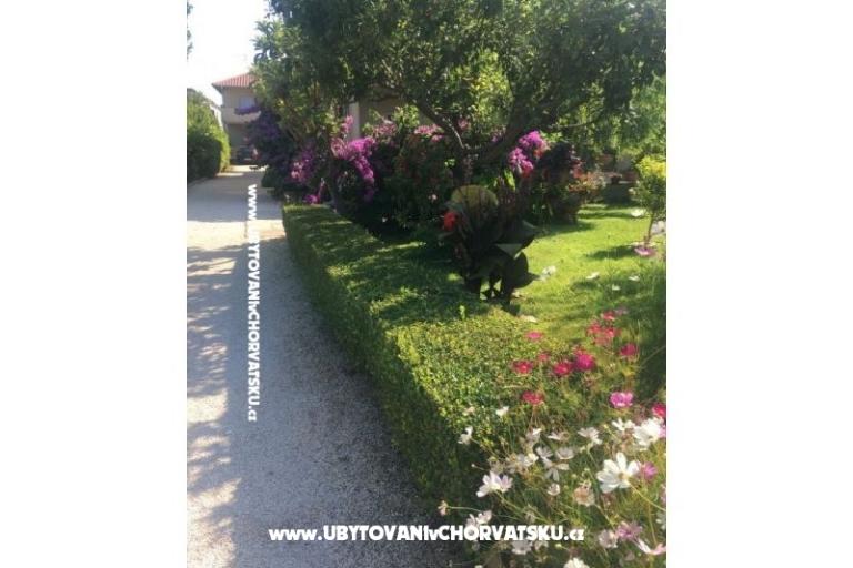 Appartamenti Jasa  – foto 10