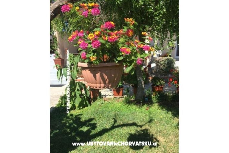 Appartamenti Jasa  – foto 15