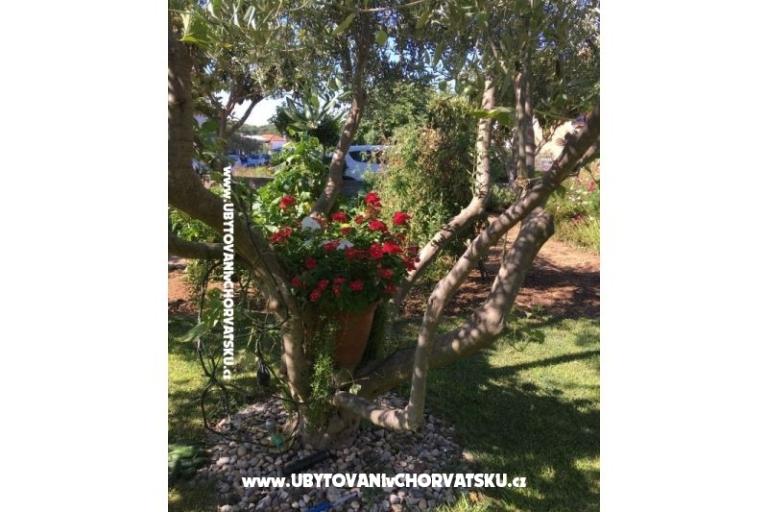 Appartamenti Jasa  – foto 16