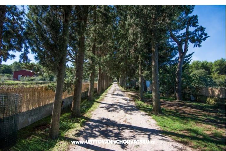 Appartamenti Kukin – foto 14