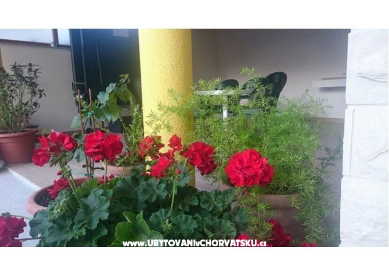 Appartamenti Lucija – foto 6