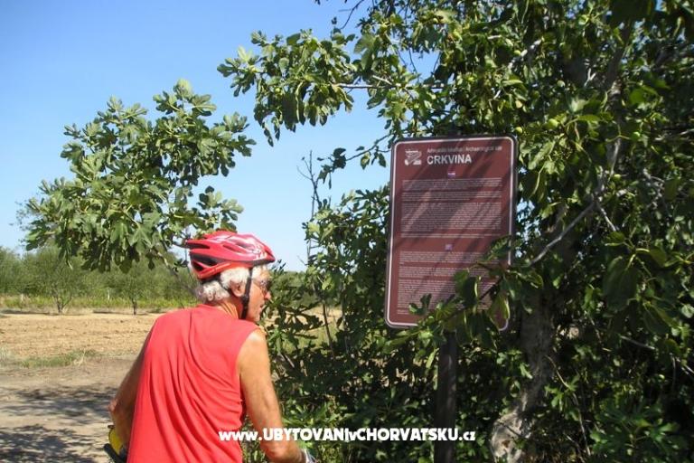 Appartamenti Mario – foto 17