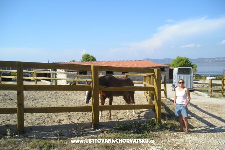 Appartamenti Mario – foto 18