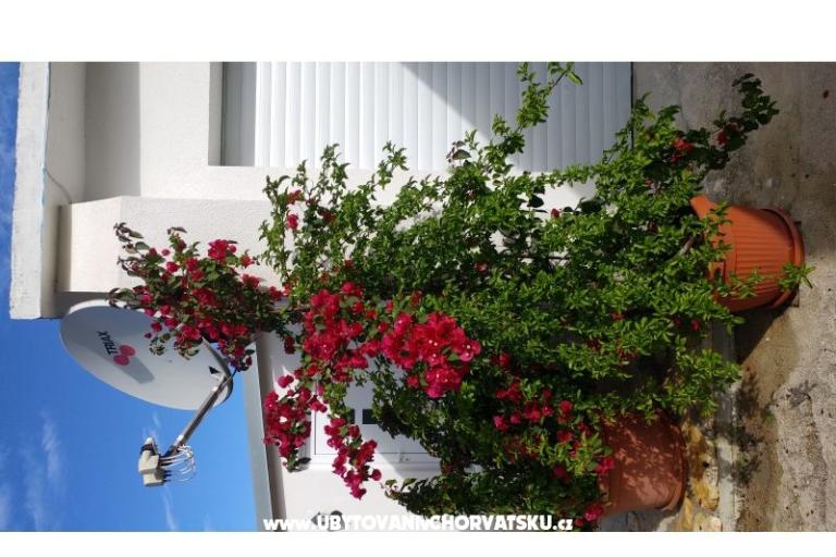 Appartamenti Pipi – foto 12