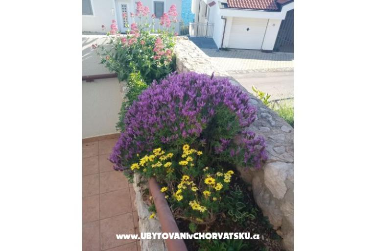 Appartamenti Šimun – foto 11
