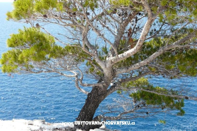 Appartamentoy Stupavsky – foto 11