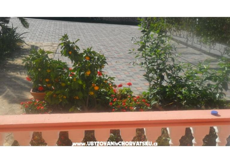 Appartamenti Leo – foto 24