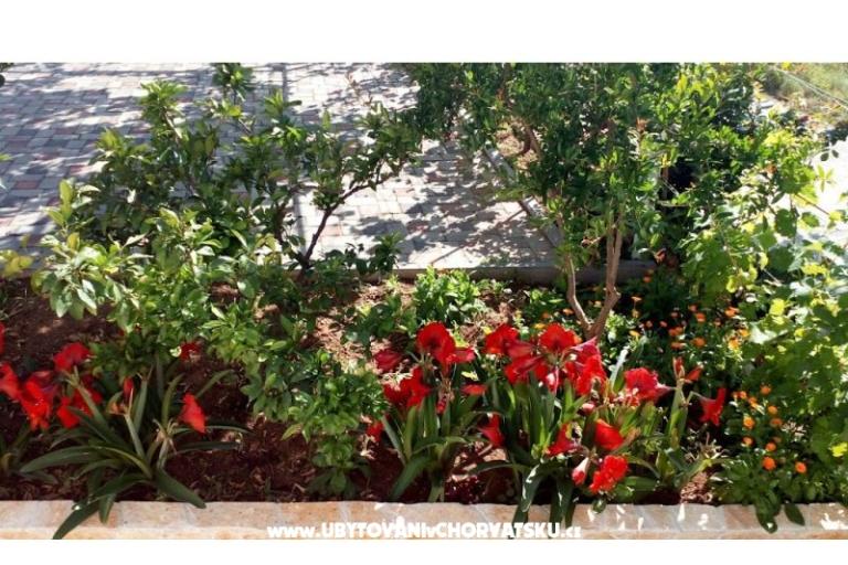 Appartamenti Leo – foto 36