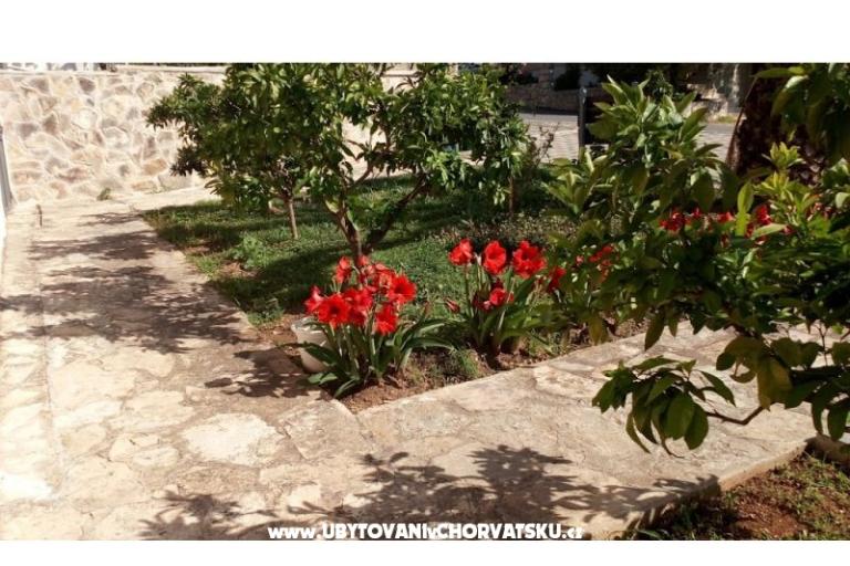 Appartamenti Leo – foto 38