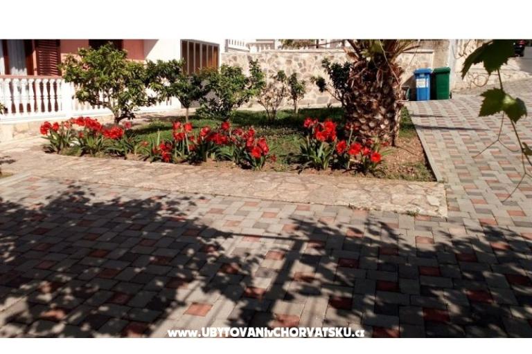 Appartamenti Leo – foto 4