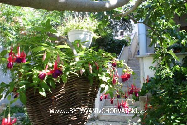 Appartamenti Sokalo-Petar – foto 4