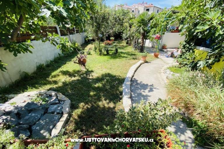 Beach Casa Punta – foto 9