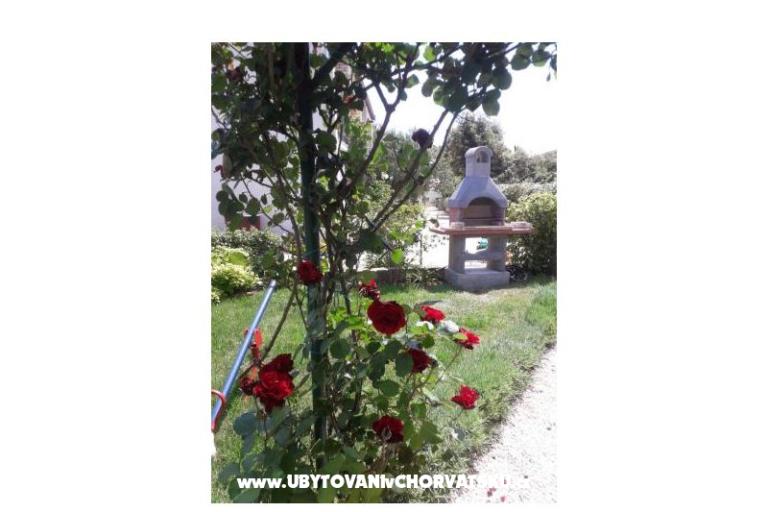 Appartamenti Pipi – foto 9