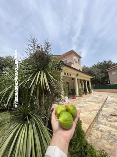 Appartamenti con piscina Villa Julia 3  – foto 10