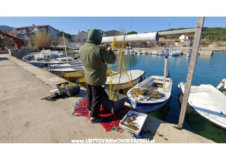 Appartamento Niko – foto 7