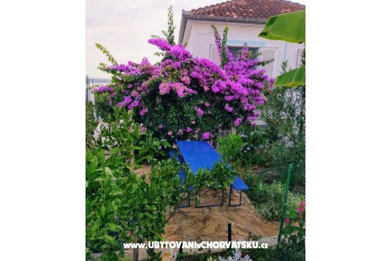 Appartamenti Marija-Tkon – foto 10