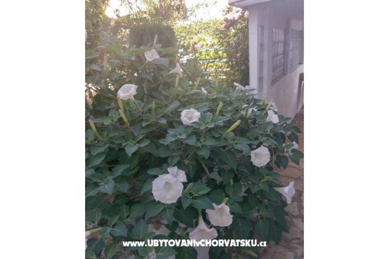 Appartamenti Marija-Tkon – foto 6