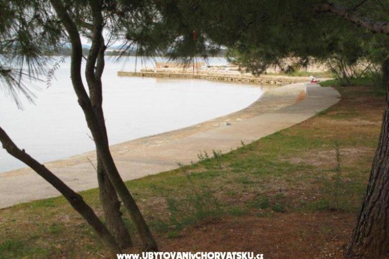Appartamenti Villa Iva – foto 11