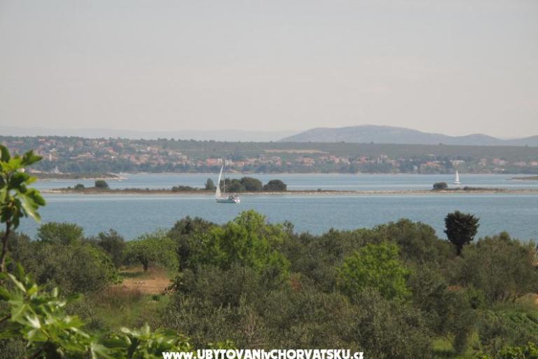 Appartamenti Villa Iva – foto 7