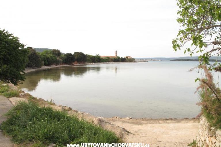 Appartamenti Villa Iva – foto 8