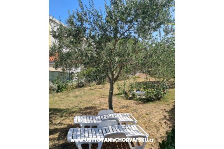 Appartamenti Lokva – foto 14