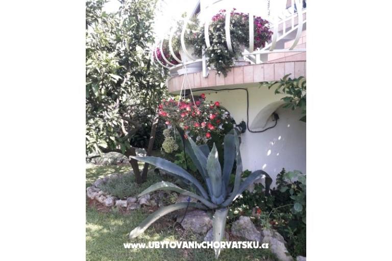 Appartamenti Lokva – foto 4