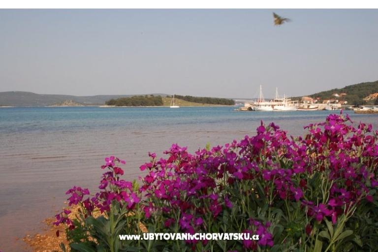 Appartamenti Marinero – foto 9