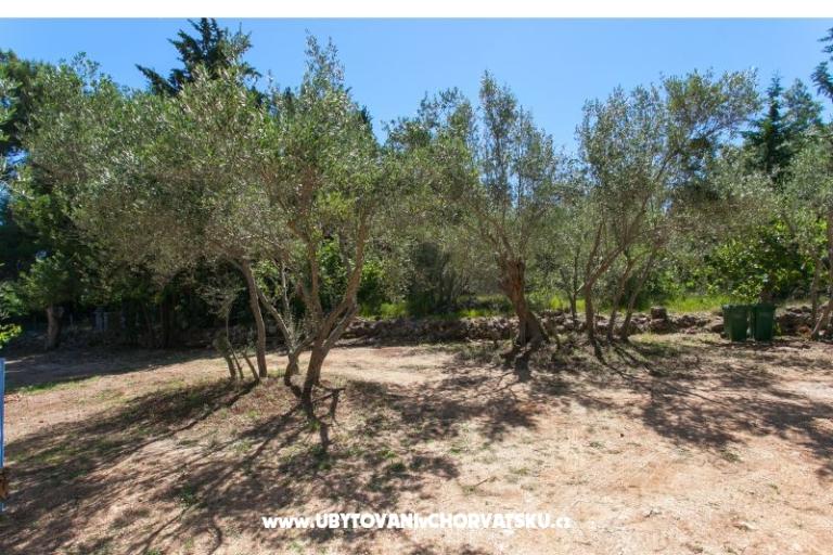 Appartamenti Maris – foto 12