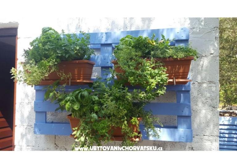 Appartamenti Maris – foto 16