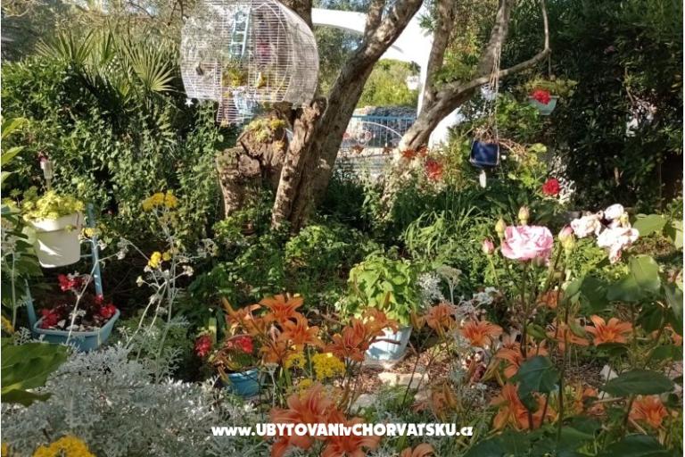 Appartamenti Moreta – foto 15