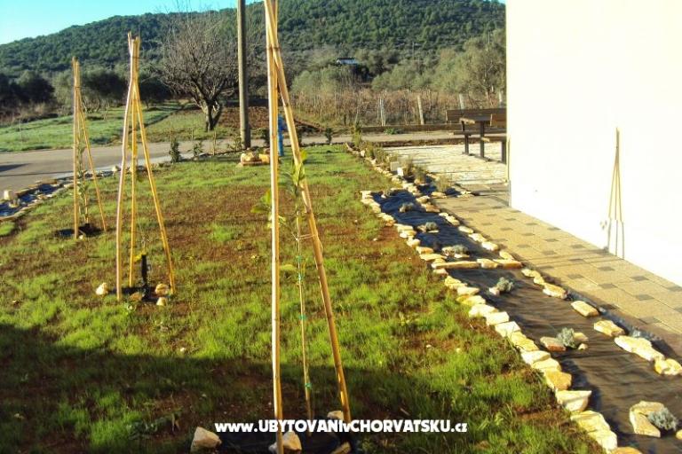 Appartamenti Pašman – foto 16