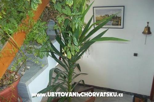 Appartamenti Dragica Pedisic – foto 9