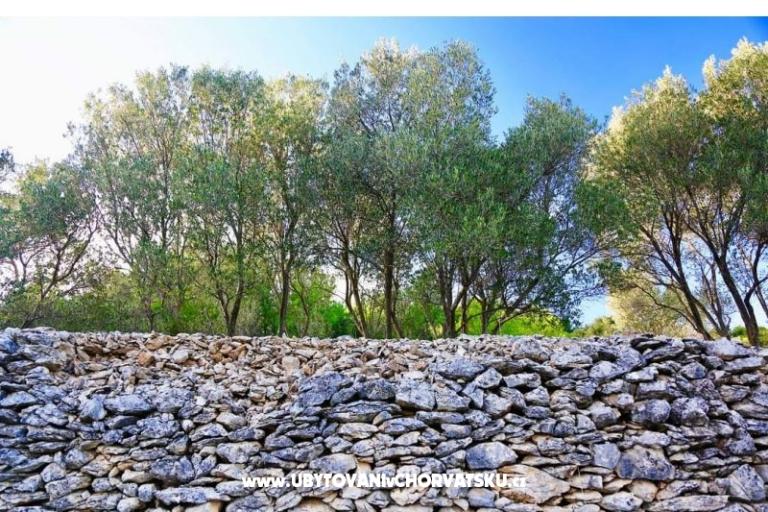 Appartamenti Dragica Pedisic – foto 11