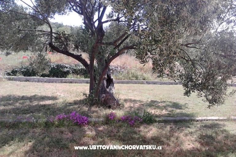 Appartamenti Villa Banjka – foto 17