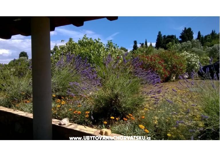 Appartamenti Villa Banjka – foto 9