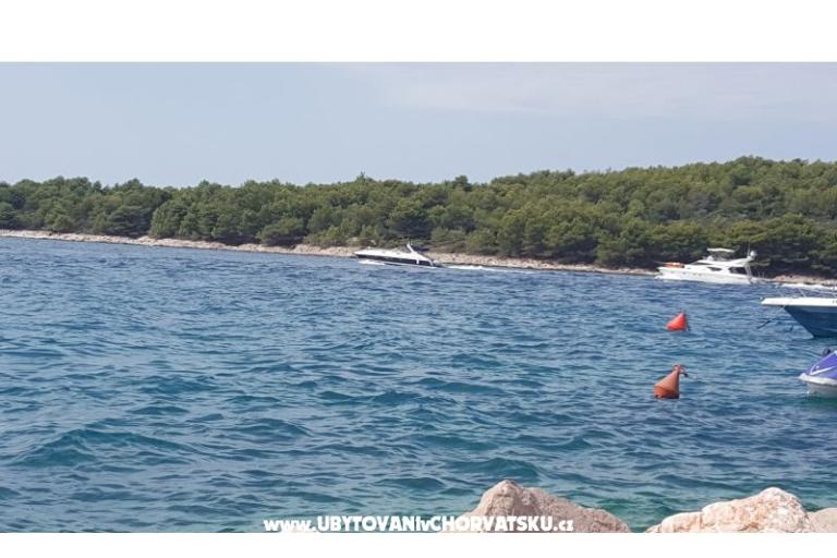 Appartamenti Ždrelac – foto 4