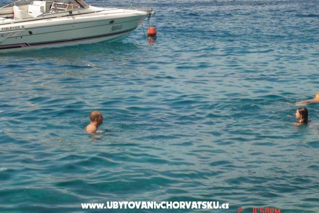 Appartamenti Ždrelac – foto 8